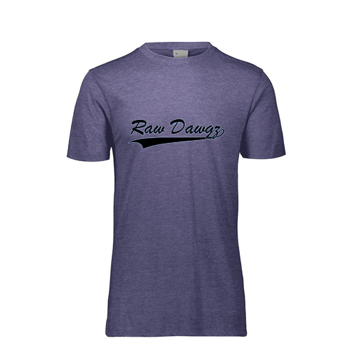 [FTSCUBRY-AS-LOGO2] Decker Men's Tri-Blend T-Shirt - Short Sleeve (Adult S, Royal, Logo 2)